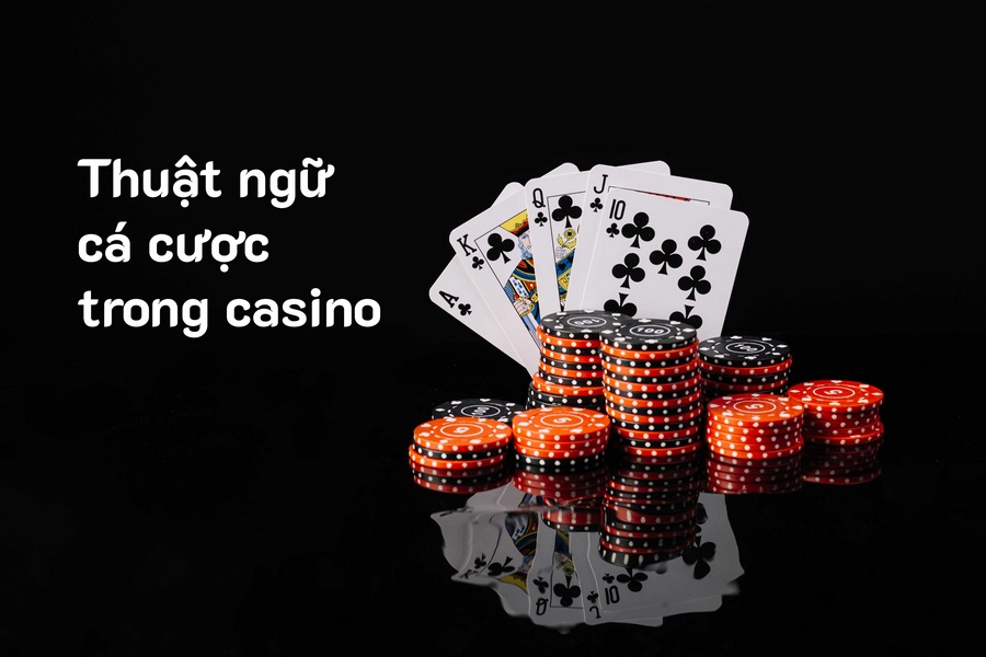 Tầm quan trọng của việc hiểu thuật ngữ trong Casino